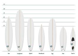 Guide To Surfboard Shapes Tactics