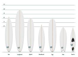 guide to surfboard shapes tactics