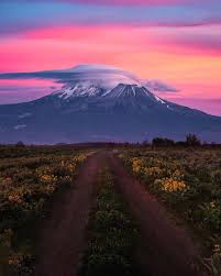 Active NorCal - Lenticular clouds hover over Mount Shasta.... | Facebook