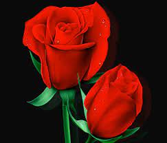 Maybe you would like to learn more about one of these? Love Flower Nature Free Photo On Pixabay