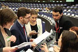 The eu grew out of the european economic community (eec) which was established by the treaties of rome in 1957. Model European Union Strasbourg Wikipedia