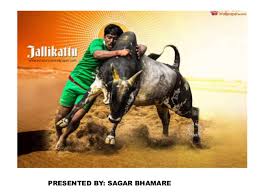 Jallikattu uses a violent conflict between man and animal to set the stage for a story that's as visually haunting. Jallikattu
