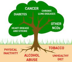 The mayo clinic healthy living program is unlike any other wellness program. Non Communicable Diseases Lifestyle Diseases Iasmania Civil Services Preparation Online Upsc Ias Study Material