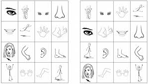 Learn about body parts spanish with free interactive flashcards. Spanish Body Parts Activities Spanish Playground