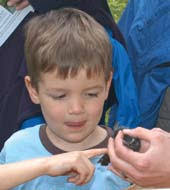 Annual Report to Members 2009