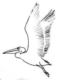 Pin On Art Here you can explore hq pelican drawing transparent illustrations, icons and clipart with filter polish your personal project or design with these pelican drawing transparent png images, make it even. pin on art