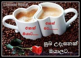Check spelling or type a new query. 9 Morning Quote Ideas Good Morning Images Morning Images Good Morning Quotes