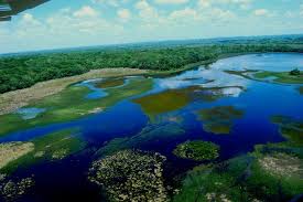 Image result for brazil natural