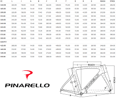 Pinarello Gan Road Bike Carbon With Shimano 105 Size 51cm