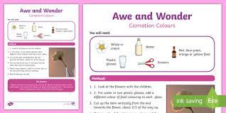 Color by number flowers worksheet. Carnation Colours Awe And Wonder Science Activity Science