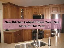 Kitchen Cabinet Ideas To Open Up Your Space And Diy Kitchen Cabinets Gold Coast Granite Counterto Diy Kitchen Cabinets Kitchen Cabinets Kitchen Cabinet Layout