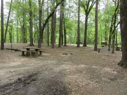 Beaver bend state park near broken bow oklahoma and the local attractions; Index Guestrez Beavers Bend State Park Beaver Bend State Parks
