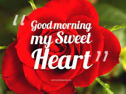 Check spelling or type a new query. 10 Beautiful Good Morning Love Wallpapers Good Morning Love Romantic Good Morning Messages Good Morning Rose Images