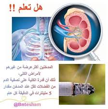 هل تعلم ان المدخنين أكثرعرضة من غيرهم لأمراض الكلى ذلك أن قدرة الكلية على تصفية الدم من الفضلات تقل عند المدخن مقدار 5 مل Health Advice Health Tips Health
