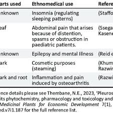Image result for Pleurostylia capensis