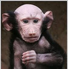 Dave Keelty in people