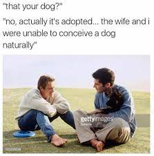 25+ best memes about stock photos | stock photos memes. Stock Photo Memes Home Facebook
