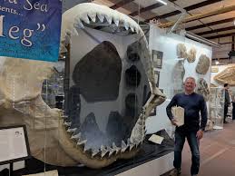 Image result for Eccoptocarpha