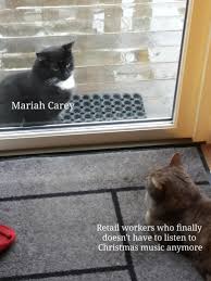 Cat listening to music with colourful lights meme. Cats Are A Good Investment Right R Memeeconomy Know Your Meme