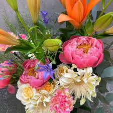 Pfingstrosen im container verschicken wir jeweils nur bis zirka mitte april. Qizmhqfevul6vm