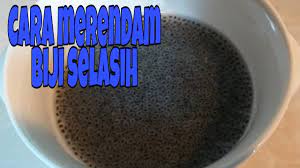 Maybe you would like to learn more about one of these? Cara Mengembangkan Merendam Biji Selasih Youtube