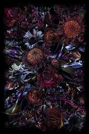 fool s paradise rectangle moooi carpets vloerkleed vloerkleed kopen vloerkleed laagpolig