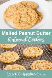 Malted Peanut Butter Oatmeal Cookies Recipe In 2020 Milk Recipes Dessert Malted Milk Cookie Recipes Peanut Butter Oatmeal