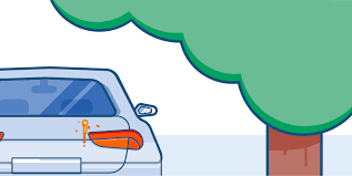 Once you are done washing, fully dry the area using a clean microfiber towel. How To Remove Tree Sap From Your Car Washos Blog