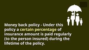 What Is A Money Back Policy Meaning Of Money Back Life Insurance Policy Life Insurance Policy Life Insurance Premium Insurance