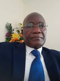 Manuel Mateus, autor em A Pátria