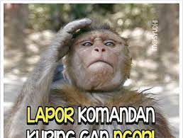  Rinaldi Nal Hilyyas99 Profil Pinterest