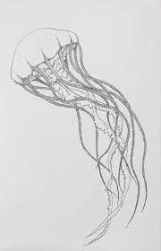 Simple Jellyfish Tattoo Google Search Illustration Medusa Jellyfish Drawing Jellyfish Art Jellyfish Design