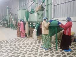 सशक्त मानसिकता से आत्मनिर्भरता की ओर: पोषण निर्माण में अहम भूमिका निभा रही  हैं सूरजपुर की महिलाएं