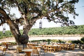 They chose the gorgeous cass winery for their wedding because of their love for wine.and the beauty of the central coast. Cass Winery Wedding Romantic Timeless Classic Wedding By Paso Robles Wedding Photo Winery Weddings Vineyard Wedding Inspiration Beach Wedding Photographer
