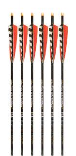 beman ics hunter pro carbon arrows