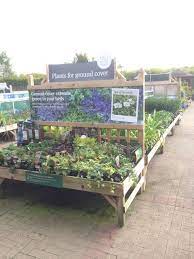 The Garden Centre Group Wyevale Shenstone Lichfield Garden Centre Horticulture Out Garden Center Displays Garden Nursery Organic Raised Garden Beds