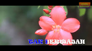 Menghancurkan jiwaku yang ku serah padamu. Download Syamel Hidup Dalam Mati Karaoke Minus1 Mp4 Mp3 3gp Naijagreenmovies Fzmovies Netnaija