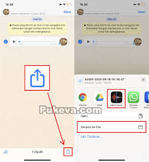 Dalam aplikasi ini terdapat bermacam pilihan karakter. Cara Menyimpan Rekaman Audio Pesan Suara Whatsapp Di Iphone Pukeva
