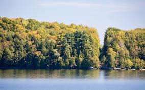 We did not find results for: In Photos The Border Between The U S And Canada Travel Leisure