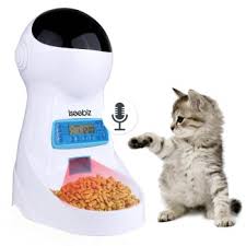 10 Best Automatic Cat Feeders Food Dispensers Of 2019