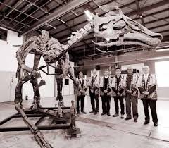 日本の恐竜の神！ カムイサウルス・ジャポニクス