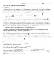 Additionally, many worksheets across many different subjects feature vibrant colors, cute characters, and interesting story prompts, so kids get worked up about their learning adventure. Transcription Translation Coloring 2 Doc Name Date Dna Coloring Transcription Translation Transcription 1 Rna Ribonucleic Acid Is Very Similar To Course Hero