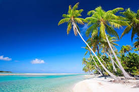 Image result for arte dell'oceania