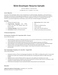 These two web developer resume examples help Web Developer Resume Sample Writing Tips Resume Companion