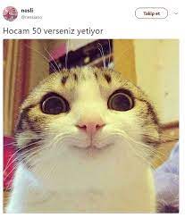 anlamli dusundurucu eglenceli guzel komik konusan resimler konusan resimler www kizlarins komik kedi yavrulari komik hayvan sevimli hayvan yavrulari