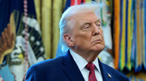 Welcome to the world': Lara Worthington celebrates the arrival of brother  Joshua Bingle's first child