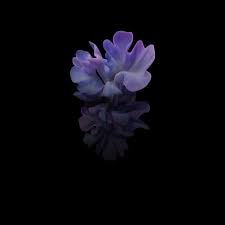 Luxury wallpaper for android tablet 7 inch. Download Samsung Galaxy Tab S7 Z Flip 5g High Resolution Wallpapers