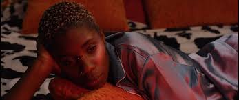 LE FRESNOY, PANORAMA 25