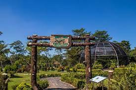Mienya kenyal dan cita rasa chinese yang begitu kental. 7 Ikon Kebun Raya Indrokilo Boyolali Ada Air Terjun Niagara Halaman All Kompas Com