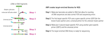 Anchored Multiplex Pcr Amp Oncologypro